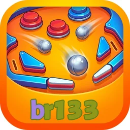 br133